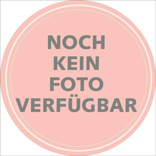 Queen Kizuna (Best Of Queen Live) Limited Vinyl